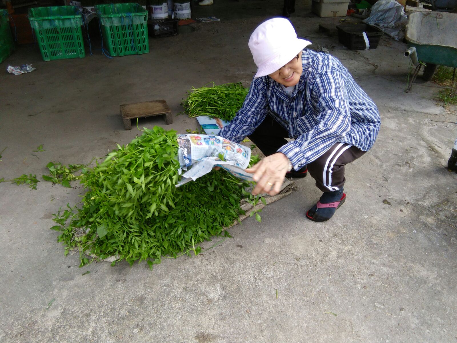 IMG-20160121-WA0013